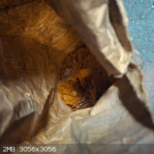 20250712_174256.jpg - 2MB