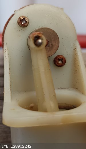 IMG_20250823_150123.jpg - 1MB