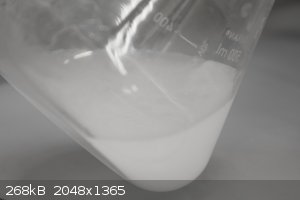 IMG_S005.jpg - 268kB