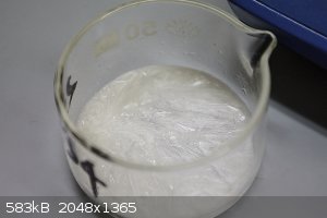 IMG_S006.jpg - 583kB