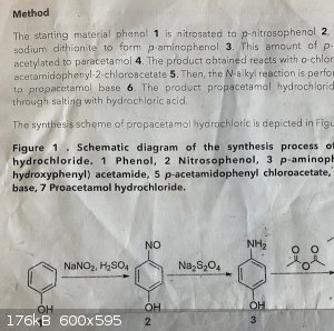 IMG_0358.jpeg - 176kB