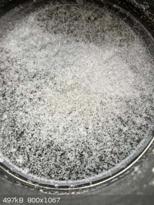 IMG_0362.jpeg - 497kB