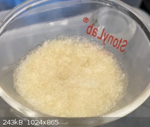 IMG_0409.jpeg - 243kB