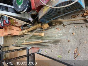 1000013105.jpeg - 4.7MB