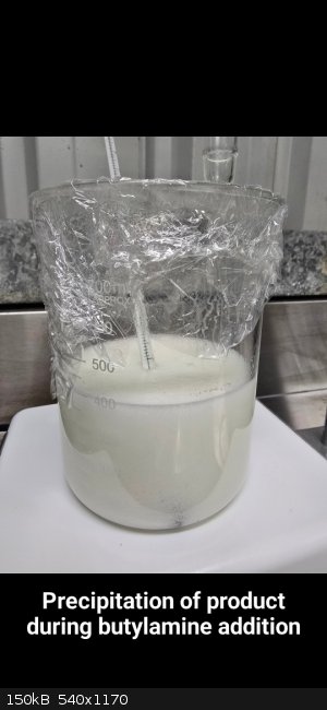 PhotoText-1763740991600.jpg - 150kB