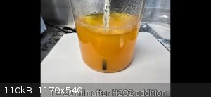 PhotoText-1765124158889.jpg - 110kB