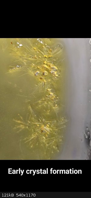 PhotoText-1765125767981.jpg - 121kB