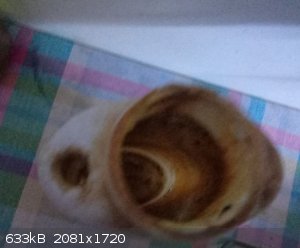 IMG_20251221_130817_1.jpg - 633kB