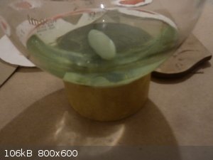 Filtrate from second crop.jpg - 106kB