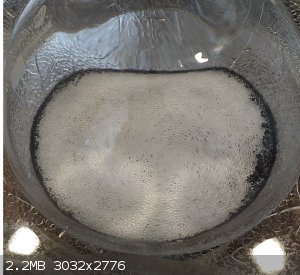 IMG_202602.jpg - 2.2MB