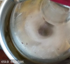 succinic2.jpg - 65kB