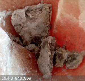 succinic4.jpg - 167kB