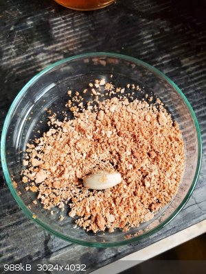 wet 4 picoline ammonium salt.jpg - 988kB