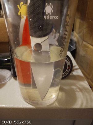 439255034_824377592892291_1949879003584413582_n.jpg - 60kB