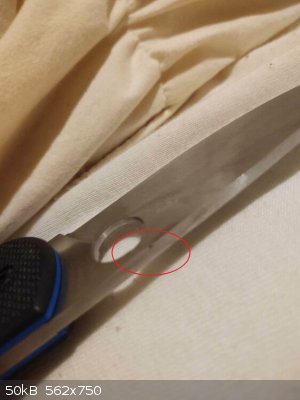 440173370_326757427098438_763184368103598859_n.jpg - 50kB