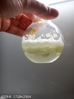 IMG_20260223_163423_5_sm.jpg - 825kB