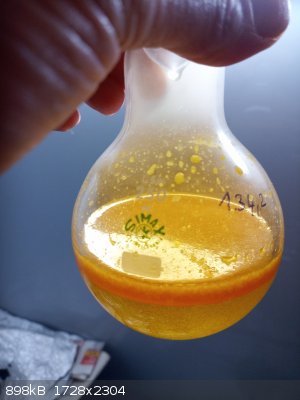 IMG_20260223_164208_2_sm.jpg - 898kB