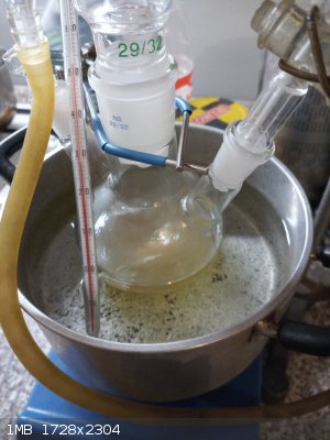 IMG_20260308_184432_4.jpg - 1MB