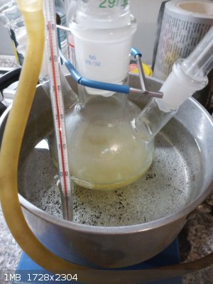 IMG_20260308_184612_5.jpg - 1MB