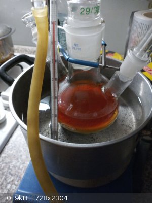 IMG_20260308_194759_7.jpg - 1019kB