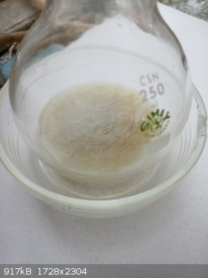 IMG_20260315_110124_7.jpg - 917kB