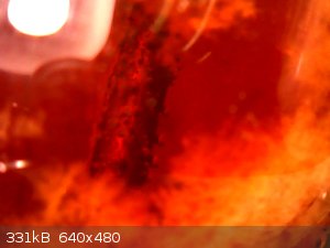 vlcsnap-2026-03-23-18h58m28s491.png - 331kB