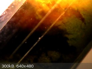 vlcsnap-2026-03-25-19h51m47s089.png - 300kB