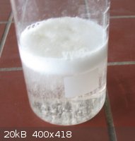 25440540_3016.jpg - 20kB