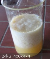 61434926_3016.jpg - 24kB