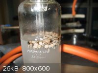 IMG_5052a.JPG - 26kB