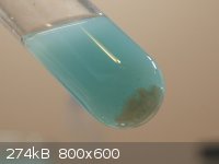 AgCl precipitate.jpg - 274kB