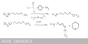 cyclic amine synthesis.png - 41kB
