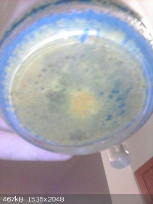 1429541462984.jpg - 467kB