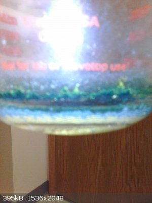 1429541498794.jpg - 395kB