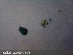 IMG_20150420_135533.jpg - 499kB