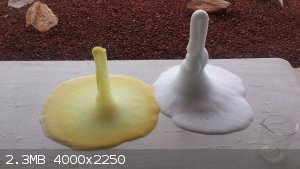 DSC_2411.jpg - 2.3MB