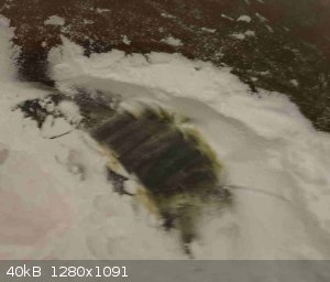 NaHCO3 to Na2CO3 - yellow residue small - 2.jpg - 40kB