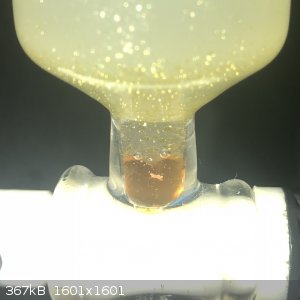 29066B49-3430-4E00-B663-895BA0E983F1.jpeg - 367kB