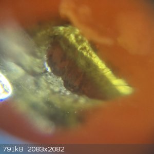 503ECA74-992C-4A0B-BE06-0BD068D98344.jpeg - 791kB