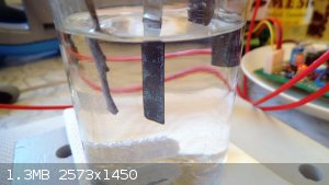 DSCF1605.JPG - 1.3MB