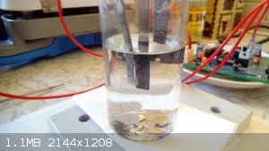 DSCF1607.JPG - 1.1MB