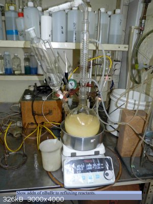 P1030684W.JPG - 326kB