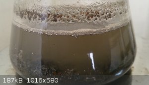 DSC_1034.jpg - 187kB