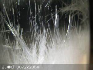 IMG_6113.JPG - 2.4MB