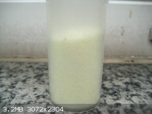 IMG_6141_.jpg - 3.2MB