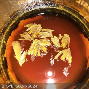 9D4F11B5-1713-4F7B-B104-DE3D007AB31F.jpeg - 2.5MB