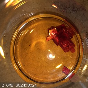 9AB7762E-C074-4E09-AC20-BED67A66FF8B.jpeg - 2.6MB