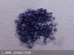 Ni_en2_nh3_2_dried.jpg - 1.6MB