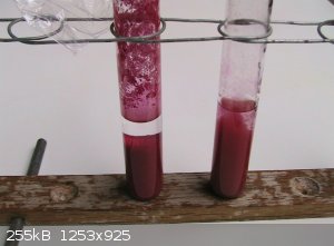 IMG_2923_adj_straight.JPG - 255kB