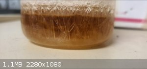 Screenshot_20201124-235050_Gallery.jpg - 1.1MB